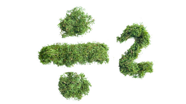 istock Division symbol by 2 made from grass clippings, carefully clipped with accurate paths on a white background, concept for reduce using natural resources. 2168590773