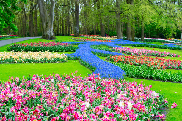 istock fresh lawn with flowers 2168591057