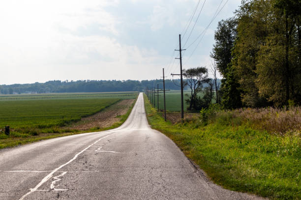 istock Rural country road surrounded by farm fields 2168591719