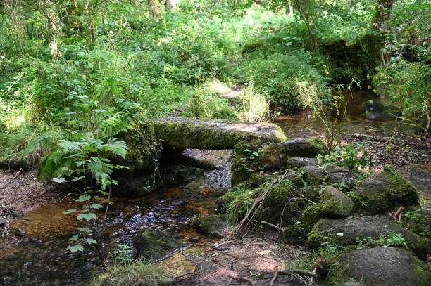 istock Clapper footbridge Manaton Dartmoor 2168592139