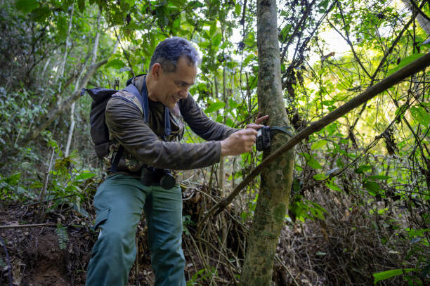 Animal observation ecotourism.