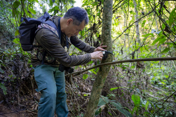 istock Animal observation ecotourism. 2168592669