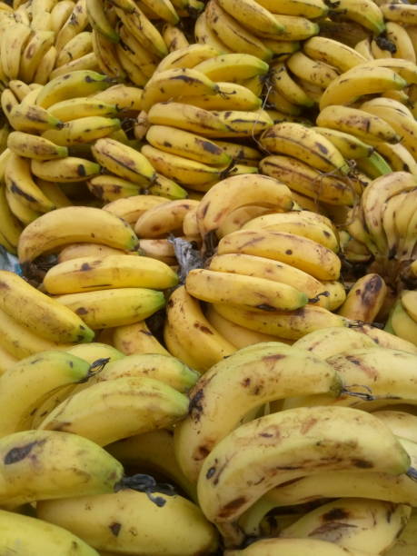 istock There are lots of bananas lying around 2168592830