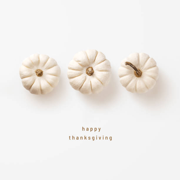 istock minimalist autumn / fall concept or greeting / invitation card for thanksgiving with three white pumpkins in a row on a bright background - top view / flat lay 2168594377