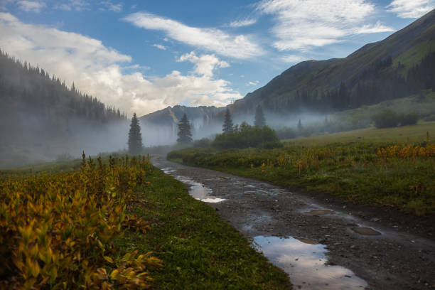 istock Morning mist in the mountains with puddle road 2168596243