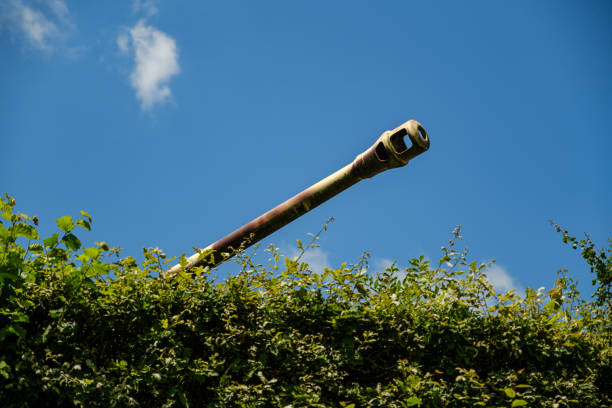 istock tank gun above green hedge row 2168598656