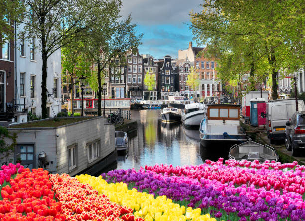 istock Houses of Amstardam, Netherlands 2168598957
