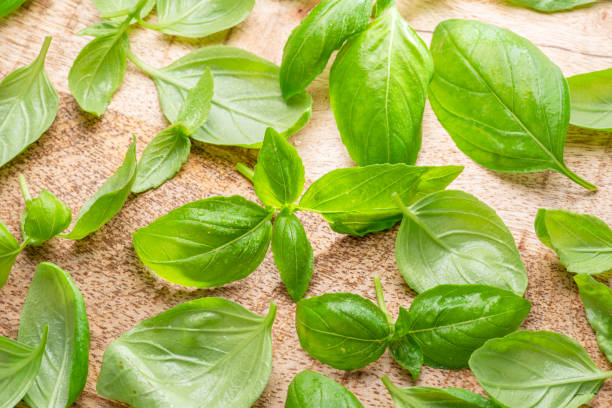 istock Fresh basil leaves on a wooden table. Nice herb spice background for your projects. 2168598999