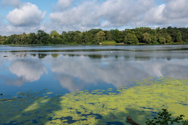 istock Am Baldeneysee in Essen im deutschen Ruhrgebiet 2168606354