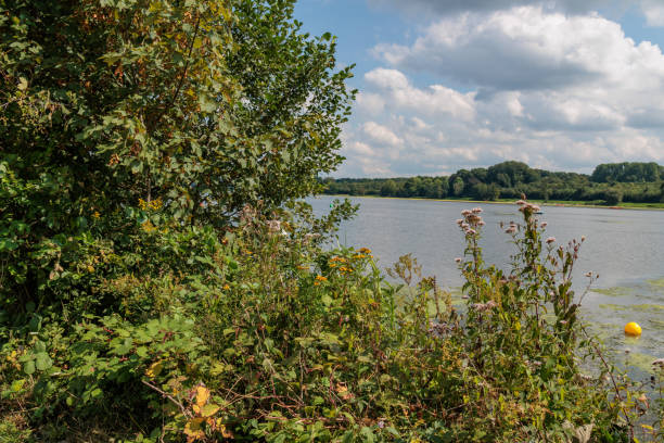 istock Am Baldeneysee in Essen im deutschen Ruhrgebiet 2168606739