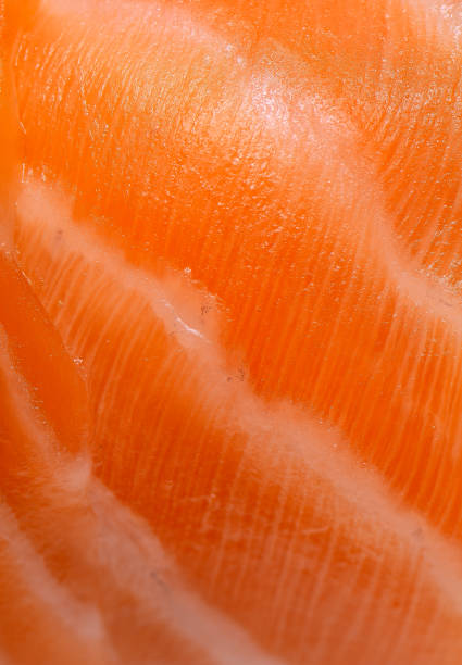 Deteailed photo of salmon fillet texture. Eating sushi rolls at home. Close up
