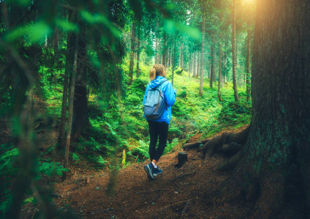 istock Woman in a blue jacket with backpack is walking on a forest trail at sunset. Trees with lush green foliage in summer. Slim girl on the path. Hiking and trekking in Dolomites, Italy. Nature. Travel 2168618570