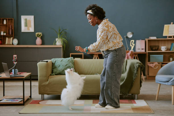 istock Interacting with Pet Cat in Modern Living Room 2168619962