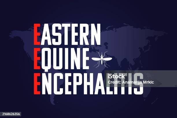 Eee Virus Vector Eastern Equine Encephalitis Mosquito Borne Virus Vector Background With ...