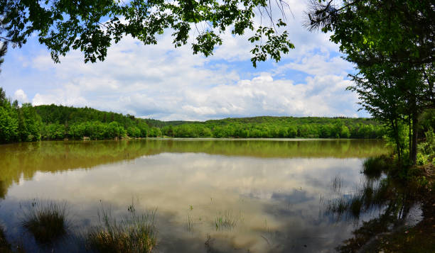 istock Kuru Lake - Duzce - TURKEY 2168626702