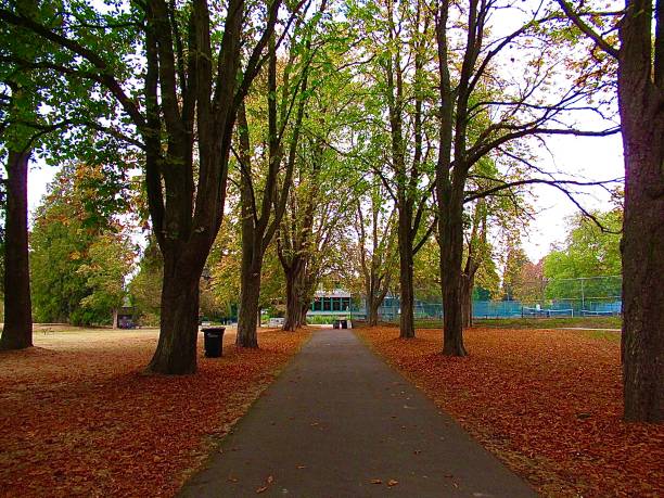 istock Fall landscape with orange leaves and trees 2168630562