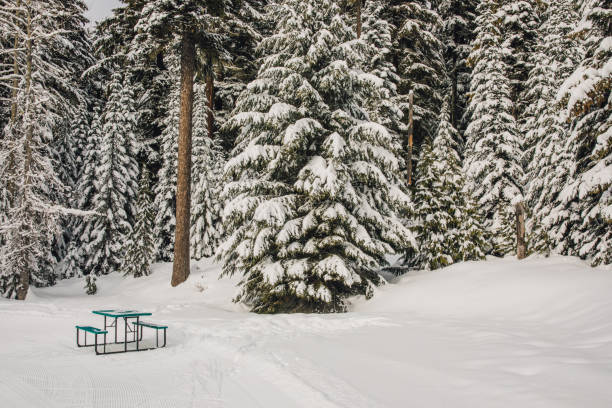 istock empty picnic table in the snowy  mountains 2168632097