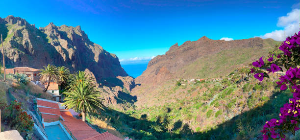 istock Wild nature of Teno 2168632810