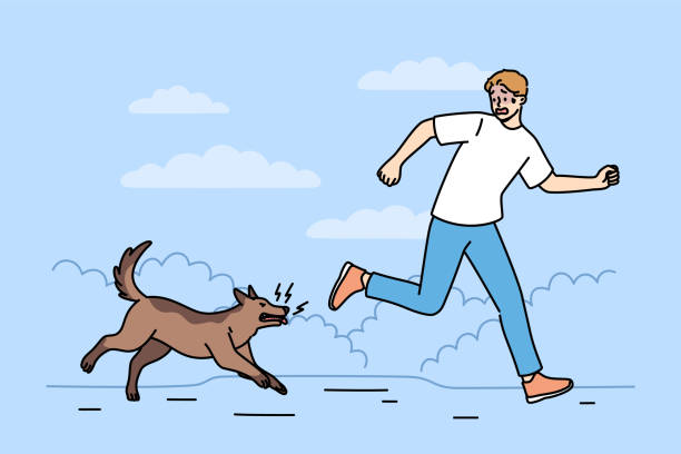 230+ Dog Chasing Man Stock Illustrations, Royalty-Free Vector Graphics & Clip Art - iStock