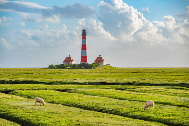 istock Leuchtturm Westerheversand an der Nordsee 2168634200