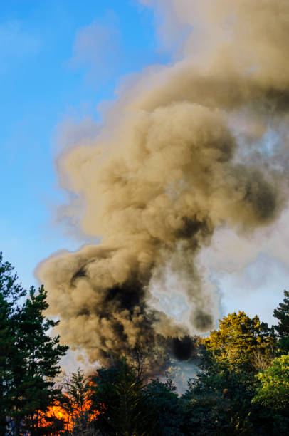 istock Smoke and Flames From Out of Control Wildfire 2168635354
