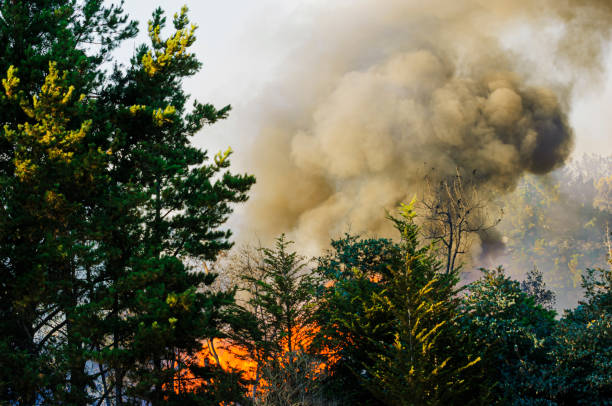 istock Smoke and Flames From Out of Control Wildfire 2168635388