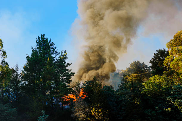 istock Smoke and Flames From Out of Control Wildfire 2168635420