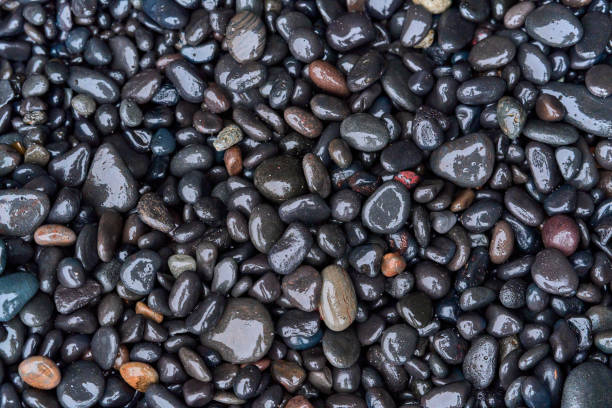 istock Water droplets clinging to smooth black rocks on the coastline 2168635655