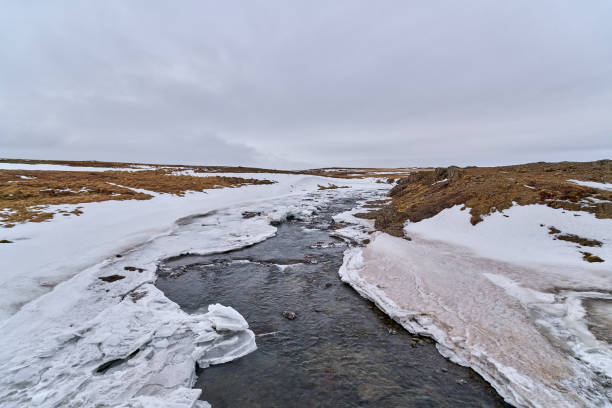 istock Small river flowing through snowy landscape in iceland 2168638443