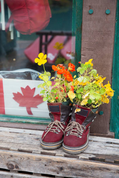 Canada, alberta banff national park flower planter  hiking boots