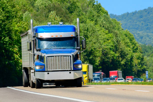 istock Heavy Summer Traffic and Heatwaves On A Tennessee Interstate 2168653112