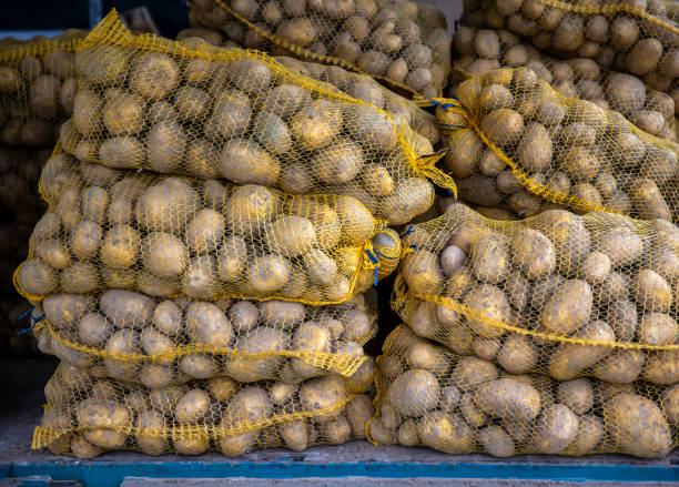 istock Potato packed in mesh bag at grocery 2168656568