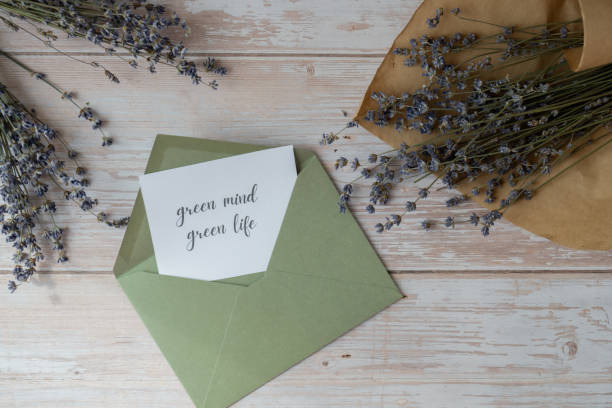 istock GREEN MIND GREEN LIFE text on supportive message paper note reminder from green envelope. Flat lay composition dry lavender flowers. Concept of eco-friendly lifestyle, environmental recyclable reusable low waste living 2168673644