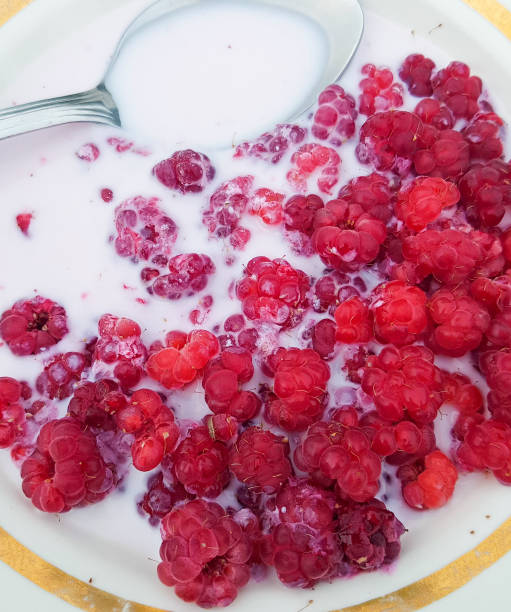 istock Antioxidant natural breakfast with raspberries and fresh milk 2168676911