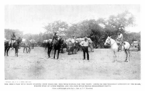istock Pack Mule Trains Transports Supplies, Spanish-American War, 19th Century World History 2168677977