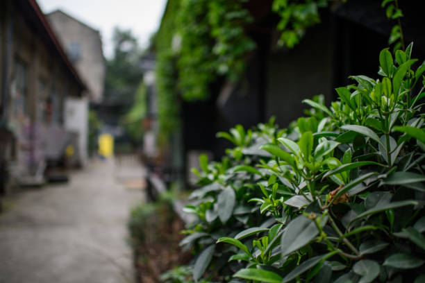 istock u37 Creative Warehouse, Chengdu, Sichuan, China 2168685425
