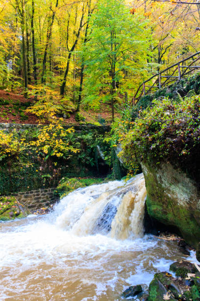 istock Schiessentumpel waterfall in the Mullerthal, Luxembourg in autumn 2168687066