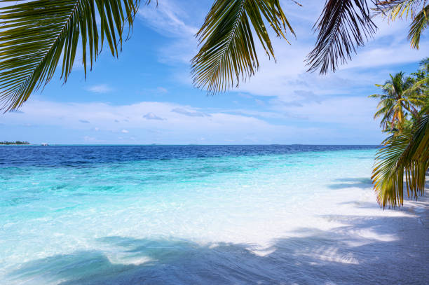 istock Tropical paradise beach scene for background or wallpaper 2168714795