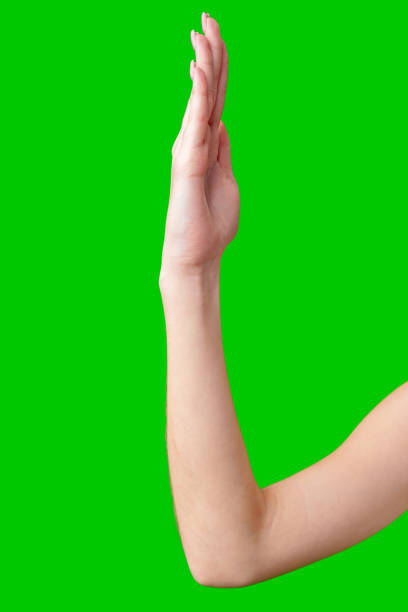 istock Female Hand Making Gesture Against Green Screen 2168718658