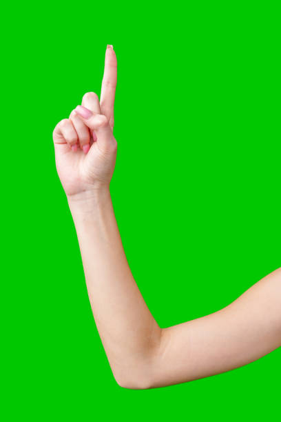istock Woman's Hand Showing Number Against Green Screen 2168718693
