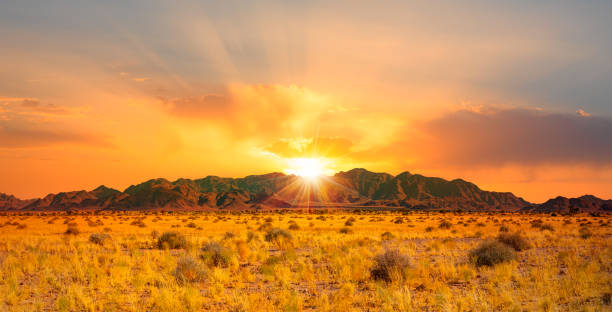 istock Typical landscape of Namibia between Kalahari and Namib desert - Namibia 2168719214