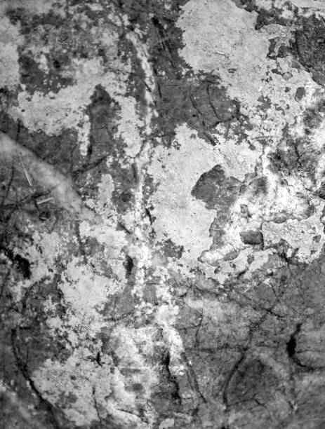 natural stone texture, close-up. background.
