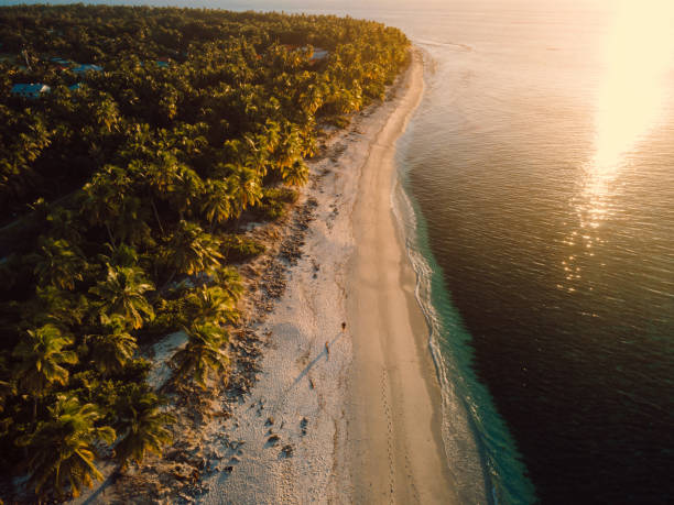 istock Sunset on Maldives tropical beach with palms trees and ocean. Drone view 2168724810