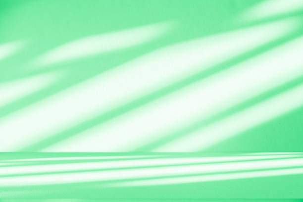 istock Studio style background wall decoration presentation uses white and green tones. with shadows cast from a nearby window, concept creating a decorative 2168725245