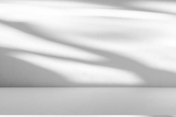 istock Studio style background wall decoration presentation uses white tones. with shadows cast from a nearby window, concept creating a decorative backdrop. 2168725280