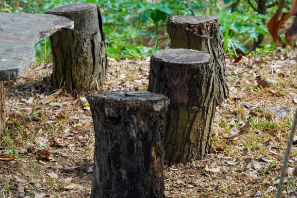 istock Garden bench and table made of wood 2168729108