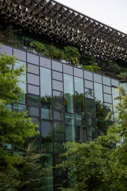 Modern Green Building on a sunny day