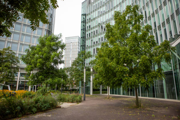 istock Modern Green Building on a sunny day 2168734222