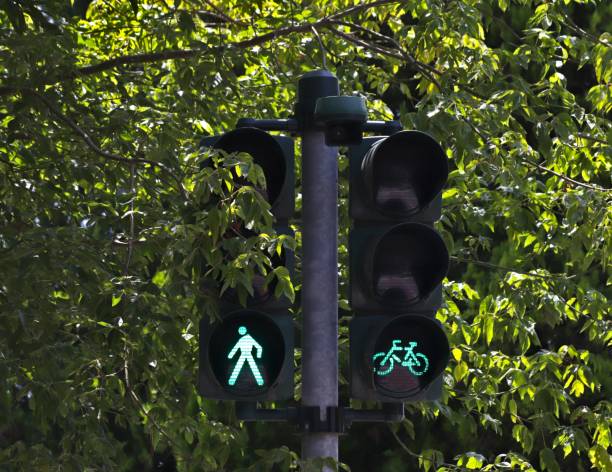 istock Traffic light for pedestrians and bicycles 2168738514