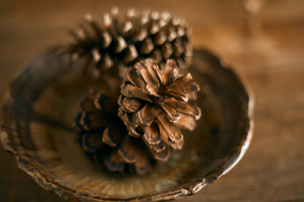 A big Pinecone
